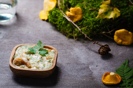 Groats with yellow mushroom cream sauce.の写真素材