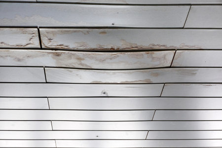Wet stain of rain on polypropylene panels ceiling.