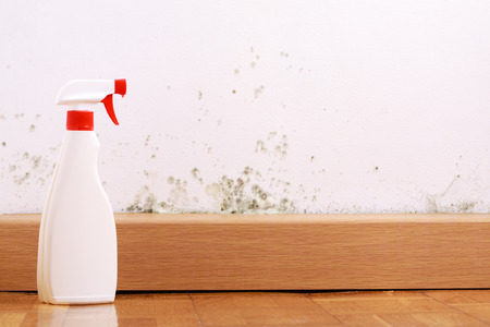 Spray to remove mould on the wall in house. Remove the mold problem.の写真素材