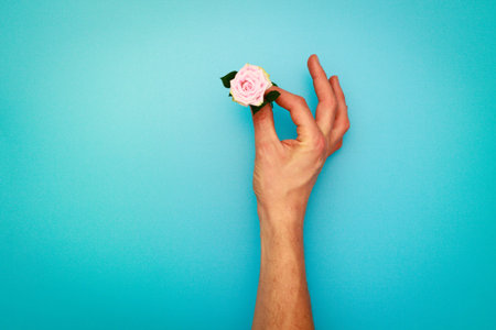The men's hand hold small pink rose, view from above. Concept of Valentine or womens day.の写真素材