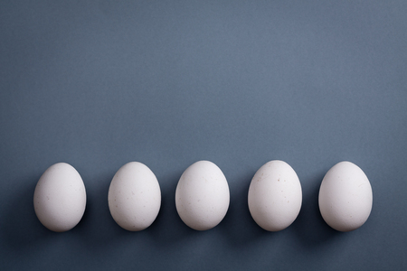 White eggs is laying in row on grey paper background.の写真素材