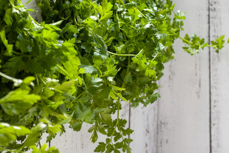 Hanging bunches of parsley on a white old plank wall.の写真素材