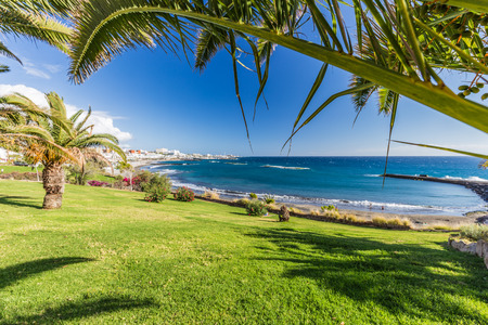 Torviscas beach on costa Adeje in Tenerife Island.の写真素材