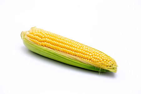 Single corn cob isolated on white background.の写真素材