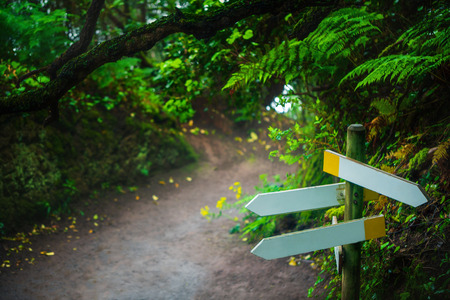 Empty signpost on path in Anaga forest nature reserve in Tenerife.の写真素材