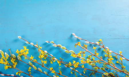 Easter flat lay with spring flower, willow and easter eggs.の写真素材