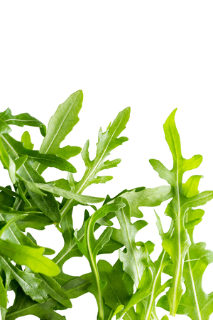 Arugula leaves isolated on whiteの写真素材