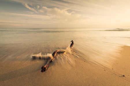 Soft waterscape with stick on foreground, made on long exposure shutter.の写真素材