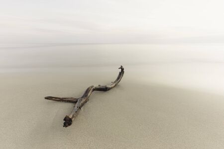 Soft waterscape with stick on foreground, made on long exposure shutter.の写真素材