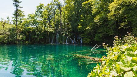 Cascades and waterfalls in the landscape of Plitvice Lakes, Croatia.の写真素材