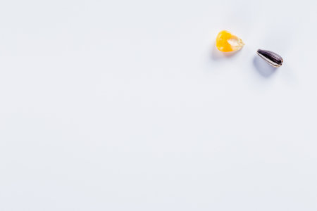 Sunflower seed and corn, on white background with copy space.の写真素材