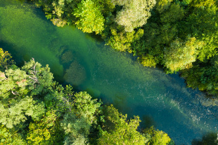 Top view on wild environment of forest and river.の写真素材