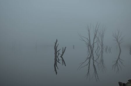 Reflections on the lake in the morningの写真素材