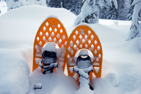  snowshoes in the snowの写真素材