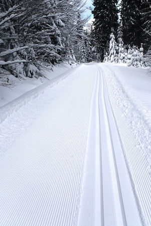 fresh track for cross-country skiing through the forest with lots of snowの写真素材
