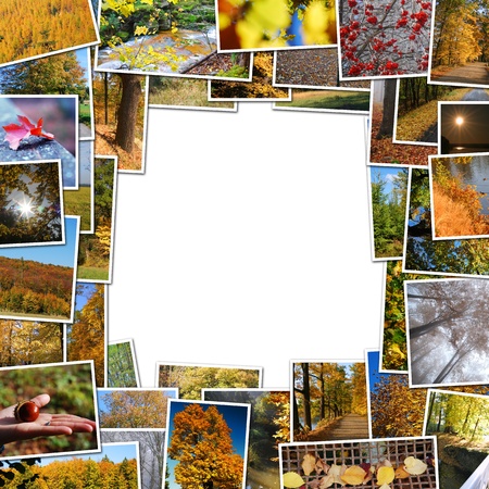 frame of autumn photos on white backgroundの写真素材