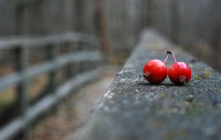 Red pieces on old wooden bridge in autumnの写真素材