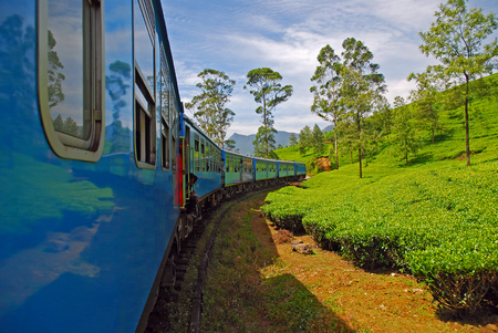 blue train passing through tea plantations in the landscape of teaのeditorial素材