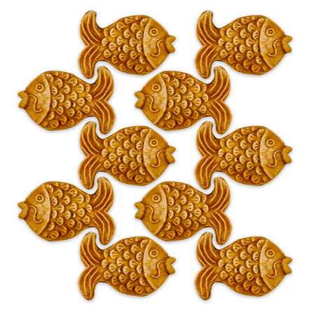 Cheerful fish on white background, christmas themeの写真素材