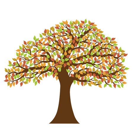 Vector image of tree with colorful autumn leavesのイラスト素材