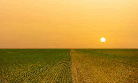 Lack of water, drought and hot sun on the horizonの写真素材
