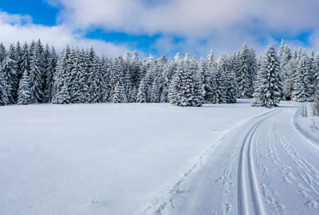 cross-country skiing in the mountains in the trailの写真素材