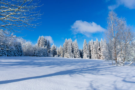 snowy mountains with fresh snow under blue skyの写真素材