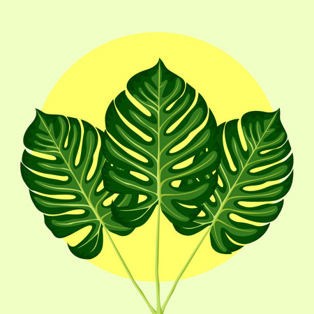 Tropical leaf monstera. Vector illustration on a yellow background, for room wall decorationのイラスト素材