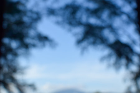 abstract background of blue sky and trees with bokeh effectの写真素材