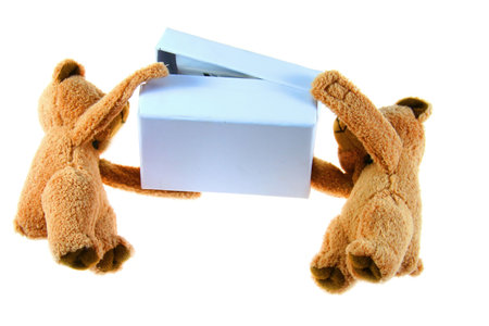 teddybears with blue box on white backgroundの写真素材