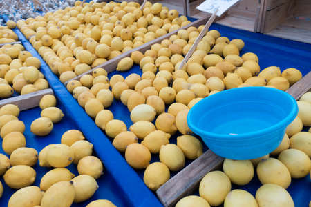 Yellow Juicy Lemons on Market Stall For Saleの写真素材