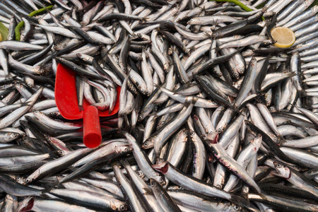 For Sale Anchovies on Market Stall in Turkish Bazaarの写真素材