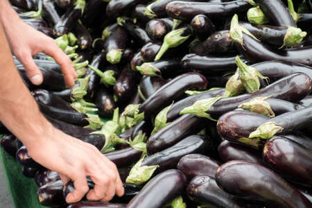 A Man Choosing Eggyplants from Market Stall in Traditional Bazaarの写真素材