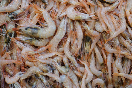 Fresh Jumbo Shrimp Heap on Market Stall