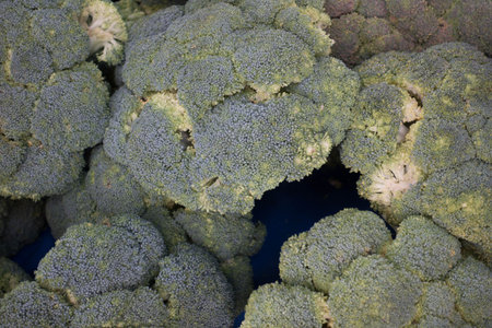 Fresh Raw Broccoli Heap on Turkish Bazaar Stallの写真素材