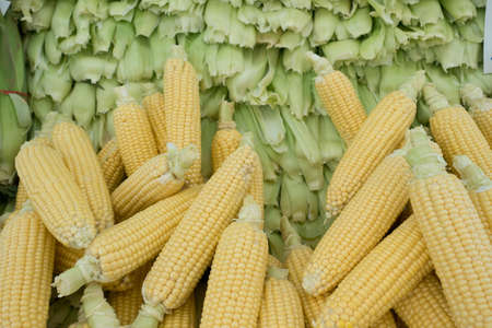 Raw Corns and cobs Stacked on Market Stall in Istanbulの写真素材