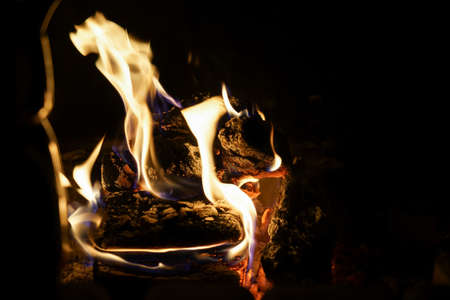 Woods are in flames in burning fireplace の写真素材