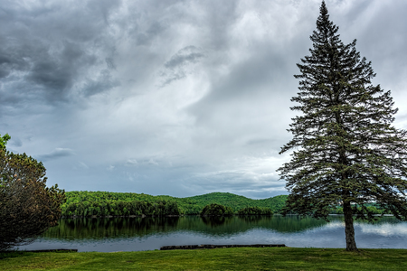 Reflections of green pine trees and a house into a calm lake under soft greyish clouds just before rainの写真素材