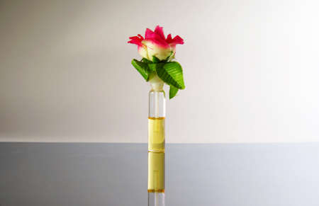 perfume with a rose on mirror surfaceの写真素材