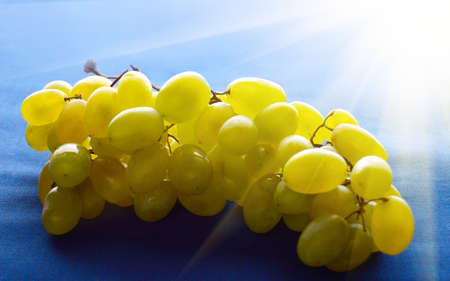 The Bunch of sweet grapes in the sunの写真素材