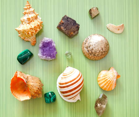 sea shells and stones on a green backgroundの写真素材