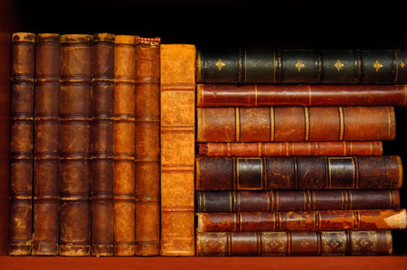 Cultural heritage. Books in the Vintage Libraries