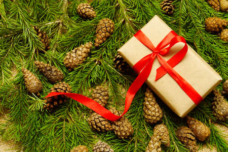 Christmas gift on the pine branchesの写真素材
