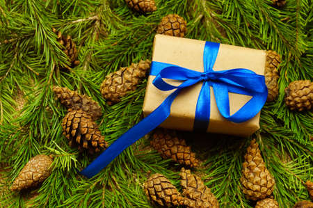 beautiful christmas gift on a pine backgroundの写真素材