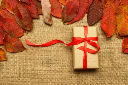 gift on a background of autumn leavesの写真素材