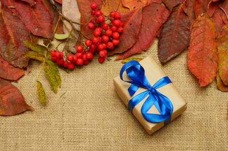 gifts of autumn on canvas backgroundの写真素材