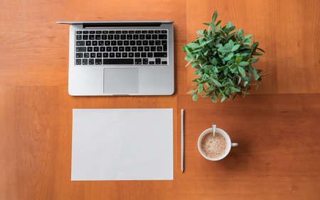 Workspace with laptop, cup of coffee, decorative plant in a wooden tableの写真素材