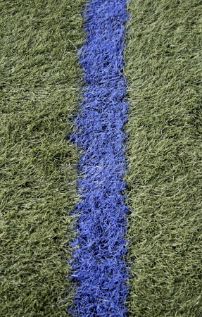 Dividing line fen Stadium for football, party and sportsの写真素材