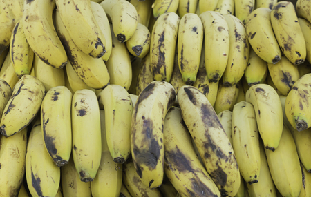 Bananas in greengrocers exposed for sale, fruitの写真素材