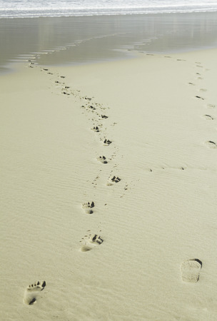 Beach with footprints on the shore, sand and waterの写真素材